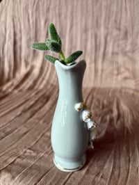 Image 3 of Pickle Plant in tiny Flower Pitcher