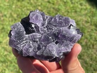 Image 10 of Purple Cubic Fluorite Specimen #1956