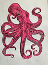 ‘Hot Pink Octopus’ (No. 2 of 20)