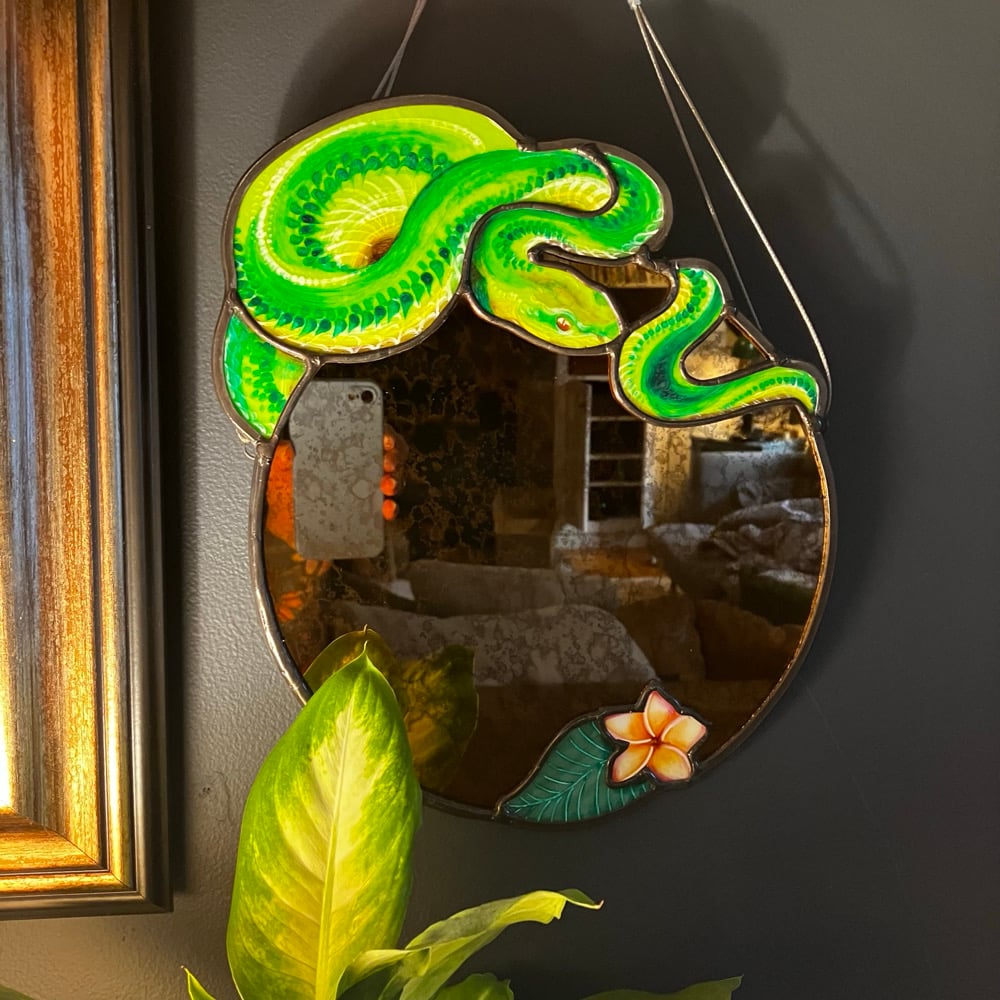 Image of Plumeria & Python Mirror