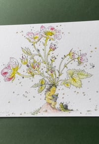 Image 4 of Beguiled - Print