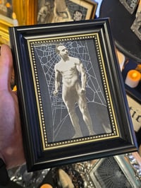 Image 1 of VINTAGE COLLECTION - with real preserved spider web
