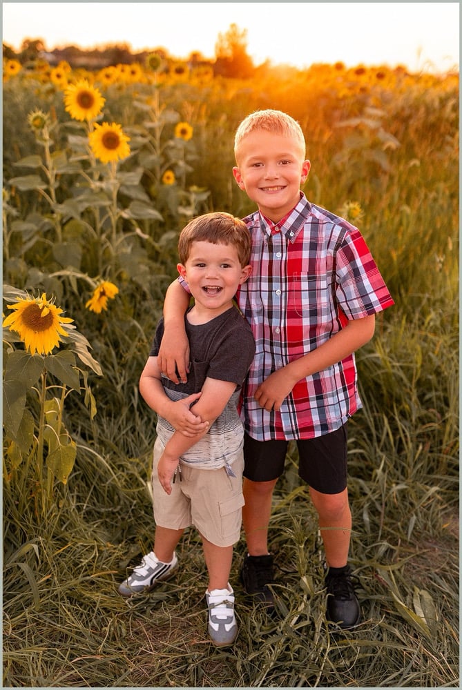 Image of 🌻Sunflower / summer flower MINIS 🌻
