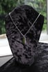 dead good maidenhair spleenwort Fern pendant Image 3