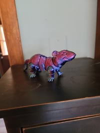 Image 1 of Rat