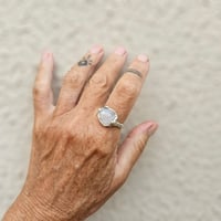 Image 1 of Rainbow Moon, US 8.75