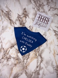 Watching Football with Daddy