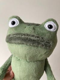 Image 2 of Small - Frog Of Many Names Plushie - OTGW - made to order