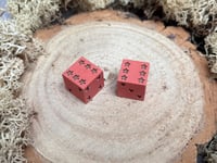 Image 2 of D6 Dice Pair Brick Red with Bronze Star Pips