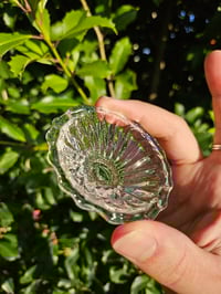 Image 1 of Small Scalloped Dish