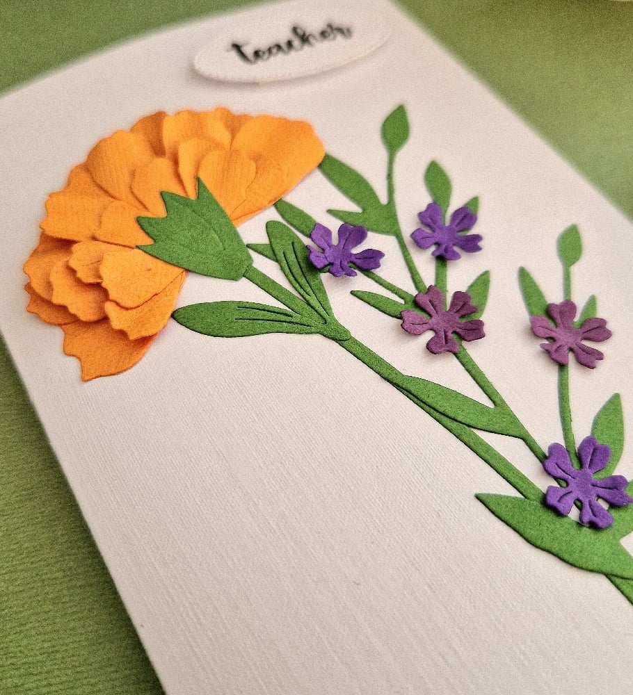 Image of Seeds Of Gratitude