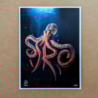 Image 2 of SIROKRKN: Imagine