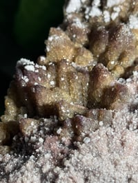 Image 9 of XL SUGARY DOG TOOTH CALCITE -MEXICO- B