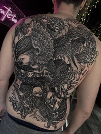 Image 4 of FULL BACK/FRONT