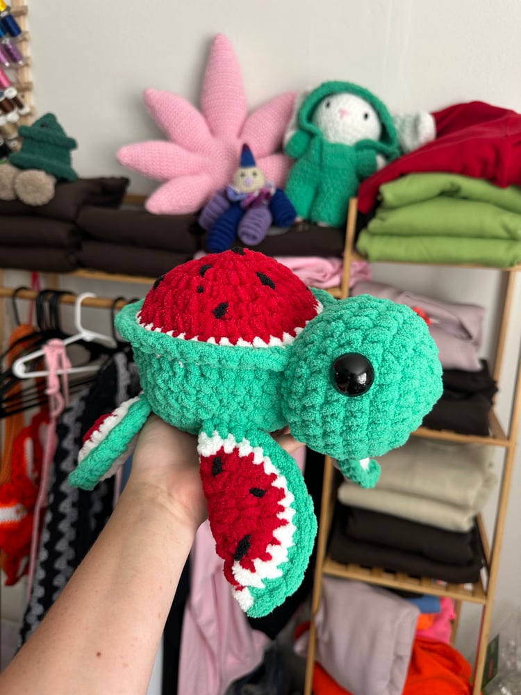 Image of watermelon turtle