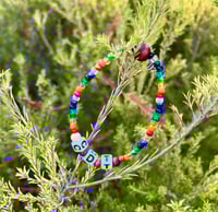 Continental Divide Trail (CDT)