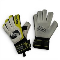 Image 1 of Signed Ian Westwater Gloves
