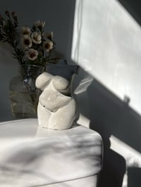 Image 2 of CEMENT FEMALE