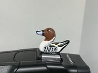 Image 1 of Northern Pintail Hotshoe Cover