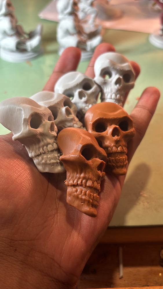 Image of 3D Printed Skull Shaped Lace Locks