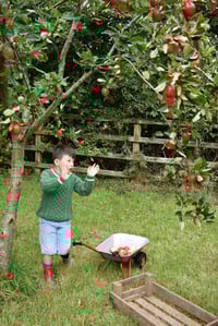 Image 8 of Sports Aran Sweater - Kids