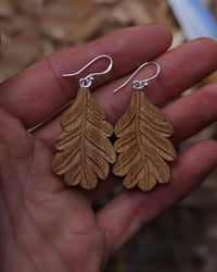 Image 4 of Oak leaf earrings 