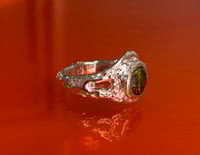 Image 2 of Illusion(2) - Collection Mirage