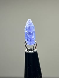 Image 8 of Tanzanite Crystal 3.5ct | Merelani, Tanzania #2874