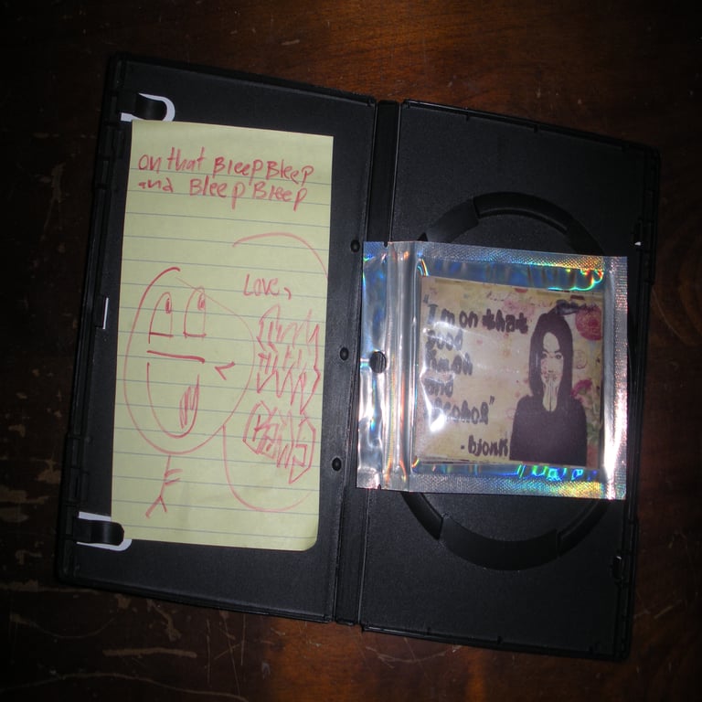 the bjork sticker pack Image 4
