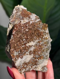 Image 3 of CHALCOPYRITE X CALCITE -MOROCCO- C
