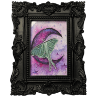 ‘Luna Moth’ Original Painting
