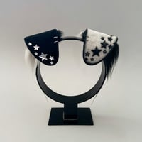 Image 3 of Black/Silver Star Husky Set