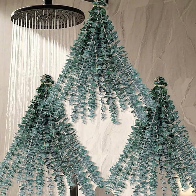 Eucalyptus Spa shower 