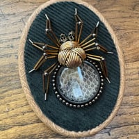 Image 1 of Snake skin spider (c, 4x5 inches)