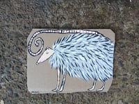 Image 1 of Possum 2