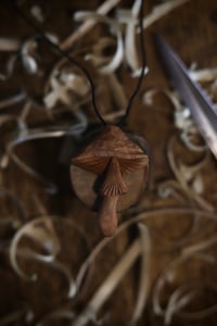 Image 3 of Apple wood Mushroom 