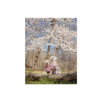 Image 2 of Jigsaw puzzle