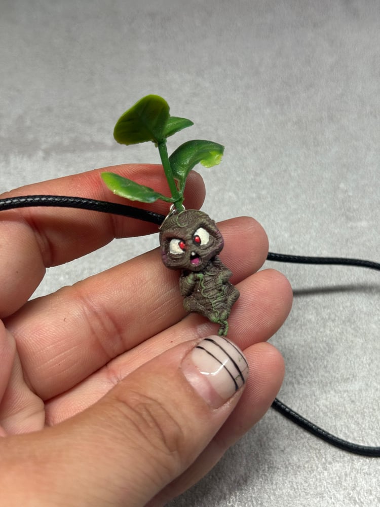 Image of baby mandrake 