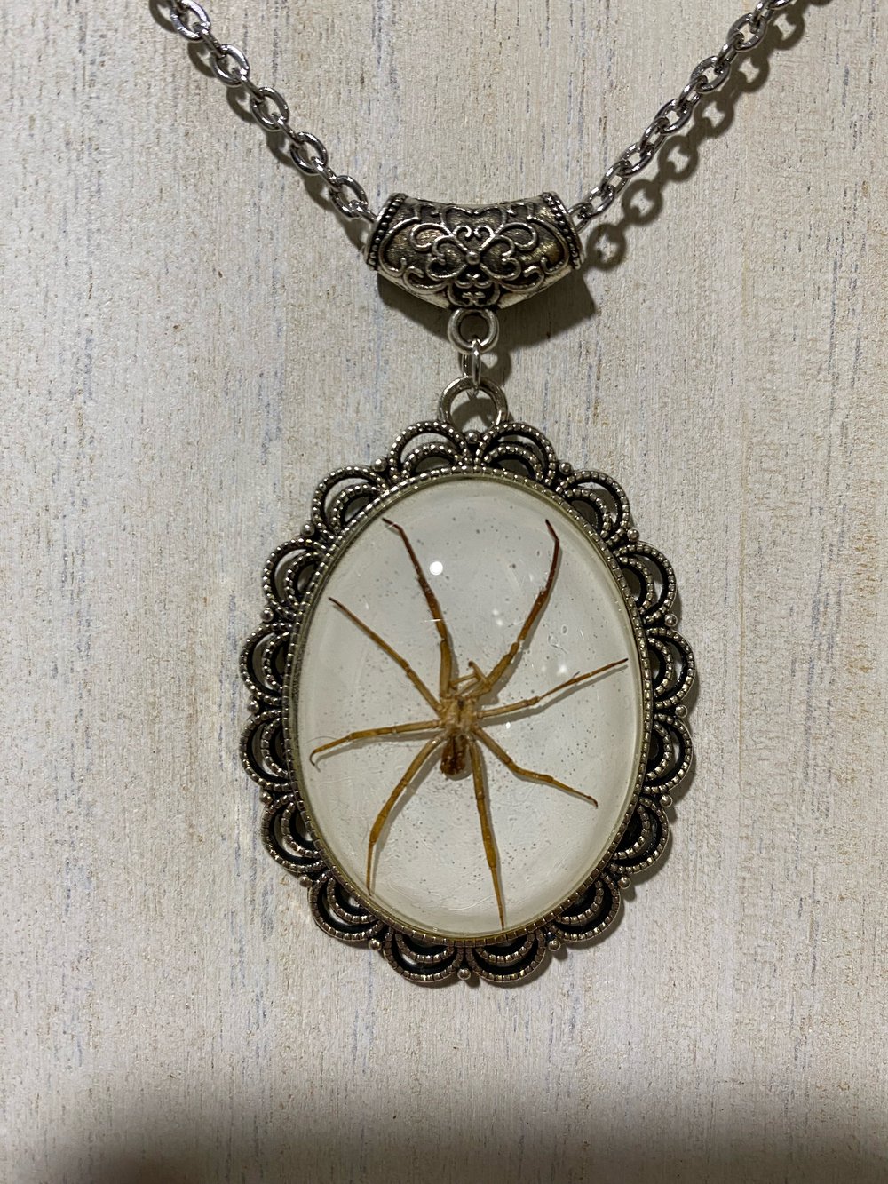 Desert recluse pendant 