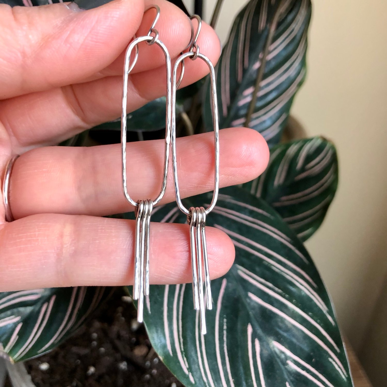 Image of Daily Fringe