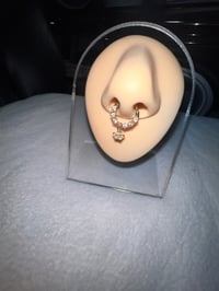 Take Flight Septum