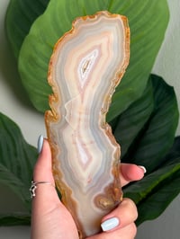 Image 2 of RAINBOW AGATE SLAB -MADAGADSCAR- 