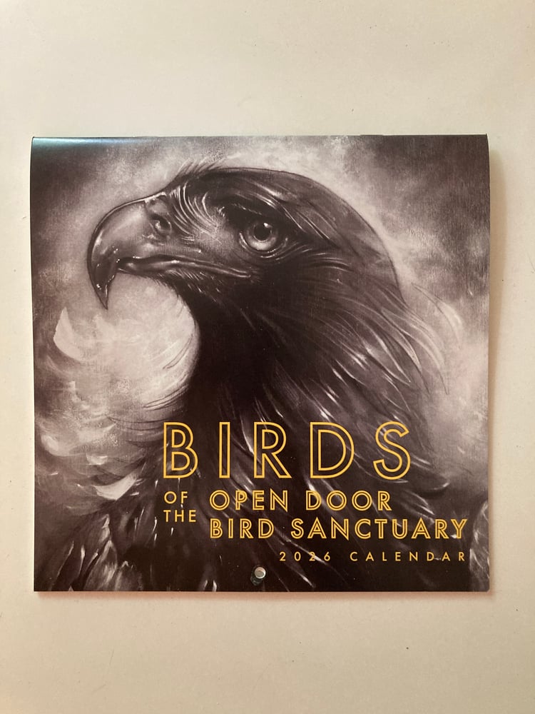 Image of Birds of the Open Door Bird Sanctuary 2026 calendar