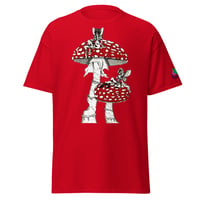 Image 1 of fairies on mushies