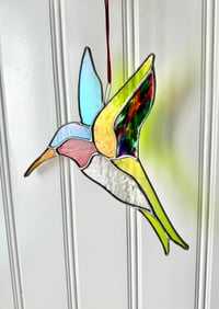 Image 3 of Hummingbirds 