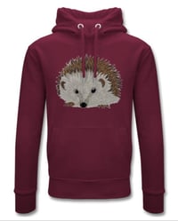 Image 4 of Hedgehogs