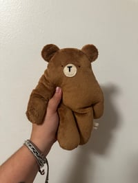 Image 1 of Brown Bloog Bear