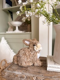 Image 1 of SALE! Bristle Bunny