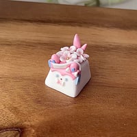 Image 2 of [B-stocks] Trays and Keycaps