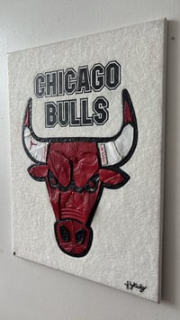 Image 3 of Chicago Bulls “Like Mike”